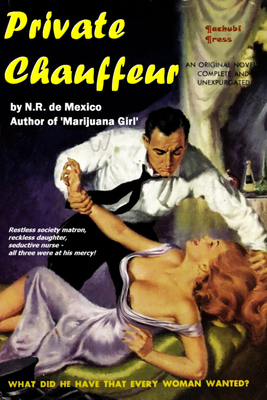 Product picture N.R. deMexico Private Chauffeur